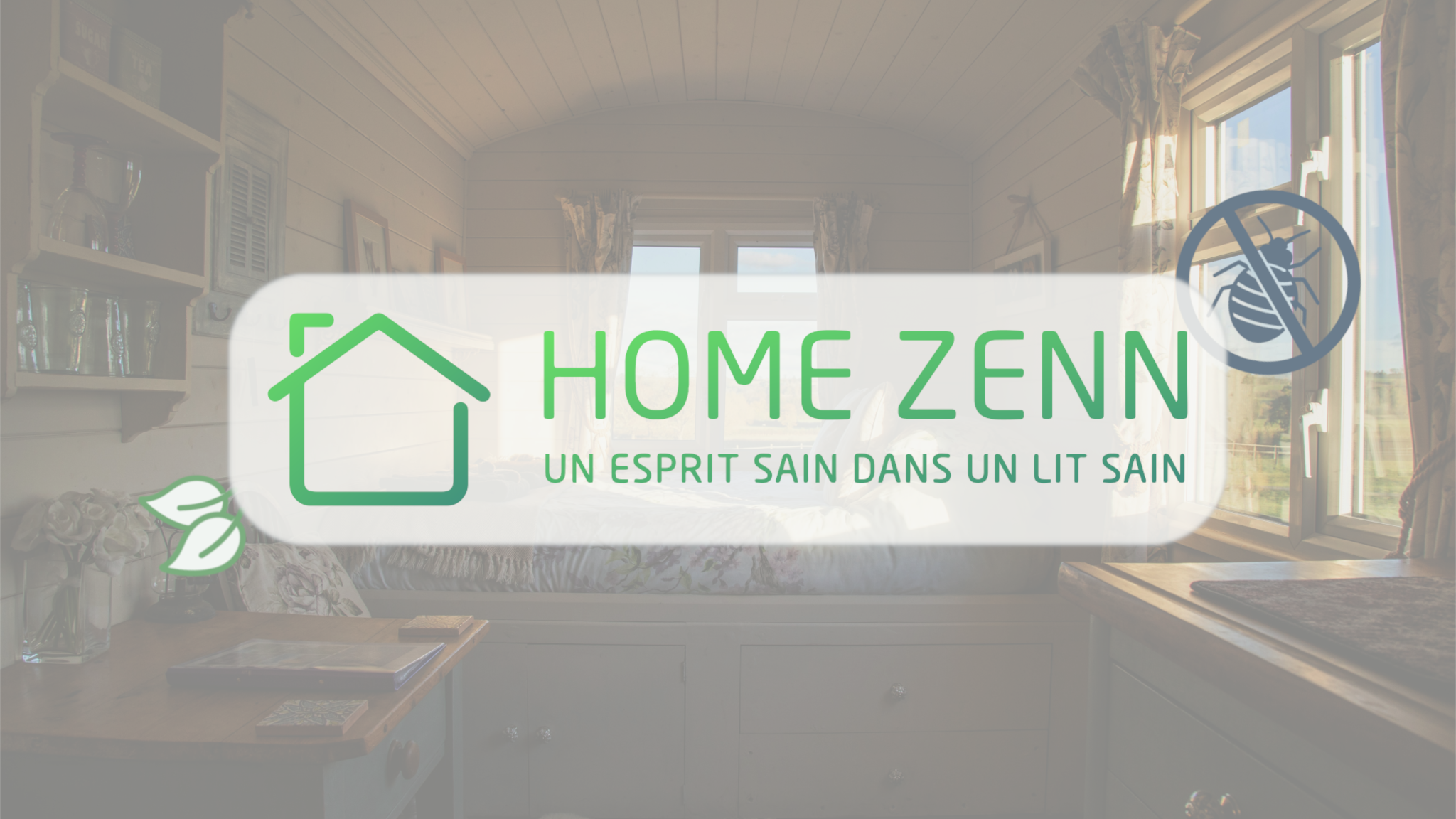 Home Zenn Éradication Punaises de Lit Chalon-sur-Saône